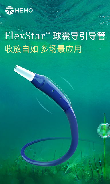FlexStar™ 球囊导引导管